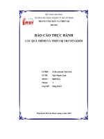 Báo cáo thực hành các quá trình và thiết bị truyền khối