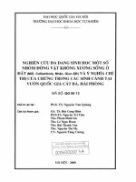 Nghiên cứu đa dạng sinh học một số nhóm động vật không xương sống ở đất (Mối, Collembola, Nhện, Giun đất) và ý nghĩa chỉ thị của chúng trong các sinh cảnh tại V14361020150303