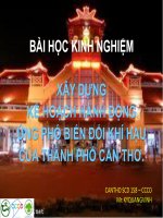 Bài học kinh nghiệm xây dựng biện pháp đối phó biến đổi khí hậu tại thành phố Cần Thơ