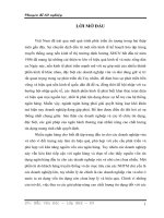 Nâng cao hiệu quả cho vay doanh nghiệp vừa và nhỏ tại ngân hàng TMCP Tiên Phong