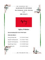 Phân tích chiến dịch quảng cáo của quảng cáo của Ogilvy & Mather