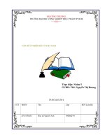 Tiểu luận Vấn đề ô nhiễm đất ở Việt Nam