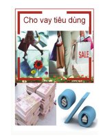 Giải pháp nhằm nâng cao hiệu quả hoạt động cho vay tiêu dùng tại Ngân hàng TMCP SeaBank