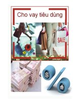 Tìm kiếm các giảI pháp để nâng cao hiệu quả hoạt động cho vay tiêu dùng tại NHTMCP Đông Nam á