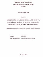 Nghiên cứu quá trình từ hóa, từ giảo và cơ chế lực kháng từ dương trong các màng đa lớp dựa trên hợp kim TbFeCo = Magnetization, magnetostriction process and me152056