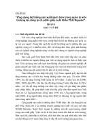 Luận văn Ứng dụng hệ thống sản xuất sạch hơn trong quản lý môi trường