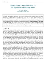 Nguồn năng lượng sinh học và cơ hội phát triển nông thôn