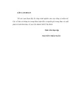 GiảI pháp phòng ngừa và hạn chế rủi ro tíndụng tại chi nhánh NHCT Ba Đình