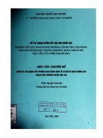 Nghiên cứu quy hoạch môi trường cấp huyện, ứng dụng cho các huyện đặc trưng (Thường Xuân, Thọ Xuân, Hậu Lộc) của tỉnh Thanh Hóa ,định hướng quy hoạch môi trường152646