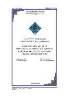 Nghiên cứu hiệu quả xử lý nước thải giết mỏ bằng bể kỵ khí có vách ngăn