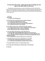 Các hợp chất thiên nhiên  nguồn nguyên liệu chỉ đường cho việc nghiên cứu thuốc điều trị alzeheime