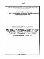 Báo cáo tóm tắt đề tài nhánh  Kiến nghị sử dụng hợp lý tài nguyên trầm tích biển và bảo vệ môi trường của 5 vùng trọng điểm  Hạ Long, cửa Bảy Háp, vịnh Rạch Giá171450