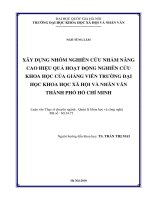Xây dựng nhóm nghiên cứu nhằm nâng cao hiệu quả hoạt động nghiên cứu khoa học của giảng viên trường Đại học Khoa học Xã hội và Nhân văn Thành phố Hồ Chí Minh