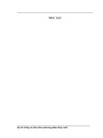 Dự án trồng cà chua theo phương pháp thủy canh của huyện Gia Lâm