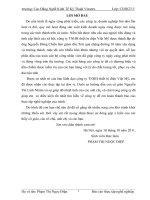 BÁO CÁO VỀ HOẠT ĐỘNG SẢN XUẤT KINH DOANH CỦA CÔNG TY TNHH THIẾT BỊ ĐIỆN VIỆT MỸ