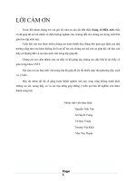 Báo cáo nghiên cứu xây dựng không gian mô phỏng dao động con lắc đơn