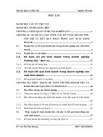 Thực trạng kế toán doanh thu, chi phí và kết quả hoạt động sản xuất kinh doanh tại công ty TNHH DV & TM Đô Thành