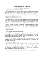 Phong thủy cát tường