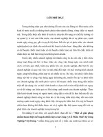 Một số giải pháp nhằm hoàn thiện kế hoạch chiến lược của Công ty Cổ Phần Thiết bị Công Nghiệp Việt Hưng