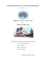 báo cáo thực tập nghiên cứu quy trình sản xuất công ty tico