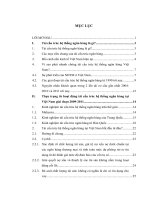 Thực trạng từ hoạt động tái cấu trúc hệ thống ngân hàng tại Việt Nam giai đoạn 2009-2011