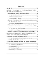 Một số giải pháp marketing-mix nhằm nâng cao mức độ thỏa mãn khách hàng đối với sản phẩm thuốc nhỏ mắt politincol của công ty cổ phần dược phẩm Hà Nội