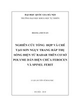 Nghiên cứu tổng hợp và chế tạo sơn ngụy trang hấp thụ sóng điện từ radar trên cơ sở polyme dẫn điện chứa ferocen và spinel ferit tt
