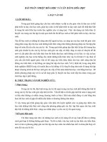 Sáng kiến kinh nghiệm - Bài toán nhiệt hóa học và cân bằng hóa học THCS HOÀNG NAM