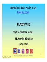 Bài tập plaxis v.8.2. Phân tích biến dạng kết cấu - đất làm việc đồng thời