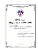 TỔ CHỨC BỘ MÁY KẾ TOÁN VÀ HỆ THỐNG KẾ TOÁN TẠI CÔNG TY CỔ PHẦN HỖ TRỢ  PHÁT TRIỂN CÔNG NGHỆ DETECH