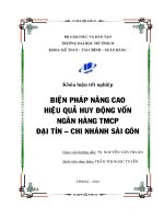 Biện pháp nâng cao hiệu quả huy động vốn ngân hàng TMCP đại tín   chi nhánh sài gòn
