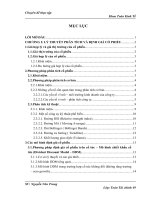 Phân tích và định giá cổ phiếu công ty cổ phần thép Việt-Ý