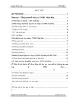 Giải pháp nhằm đẩy mạnh hoạt động tiêu thụ sản phẩm đá và khoáng sản của công ty TNHH Nhật Huy