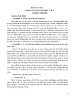 SKKN phương pháp dạy học phân số thập phân trong sách toán 5