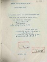 Về việc giải một lớp các phương trình tích phân ngẫu nhiên liên quan đến lý thuyết đổi mới bằng phương pháp MONTE-CARLO164136