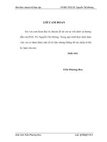 Giải pháp phát triển thị trường xuất khẩu hạt điều trên thị trường quốc tế của Công ty cổ phần Intimex