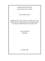 Nghiên cứu tác dụng của một số chất thứ cấp từ thực vật lên vi khuẩn gây sâu răng Streptococcus Mutans tt 