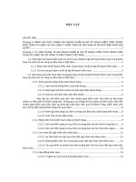 Tìm hiểu giai đoạn chuẩn bị lập kế hoạch kiểm toán trong kiểm toán tài chính tại các công ty kiểm toán ở việt nam