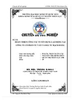Hoàn thiện công tác tuyển dụng lao động tại công ty cổ phần tư vấn và đầu tư Bạch Đằng