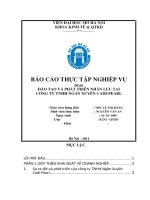 Đào tạo và phát triển nhân lực tại công ty TNHH Ngân xuyến cadi-pearl