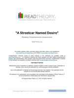 Bài tập luyện đọc Tiếng Anh A Streetcar Named Desire