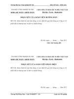 Hoàn thiện kế toán bán hàng và xác định kết quả bán hàng tại Công Ty Cổ phần đầu tư thương mại và  dịch vụ Nghĩa Hưng