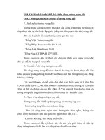 Chỉ dẫn kỹ thuật thiết kế và thi công tường trong đất bằng phương phap tường vây - neo