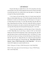 Hoàn thiện kế toán bán hàng tại  Công ty TNHH Thương Mại và Xuất Nhập Khẩu