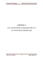 phân tích tình hình đảm bảo tiền vay tại chi nhánh ngân hàng no&ptnt huyện trực ninh - nam định