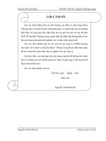 Mở cửa dịch vụ bán lẻ ở Việt Nam theo cam kết WTO (trường hợp BigC)