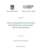 Study on phosphorus recovery from digested piggery wastewater by struvite precipitation  Nghiên cứu xử lý thu hồi phốt pho trong nước thải chăn nuôi bằng phương