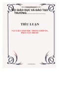 tiểu luận vật liệu sinh học trong ghép da phân tán thuốc