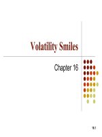 CH16 volatility smiles