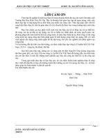 Báo cáo thực tập tốt nghiệp tại tập công ty Cổ phần Kết Cấu Việt Nam, 25-C4 – Láng Hạ, Ba Đình, Hà Nội